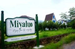   悬挂着的木屋民